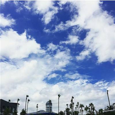 BOB博鱼·体育官网入口截图